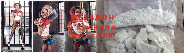 прущие грибы Верхний Тагил