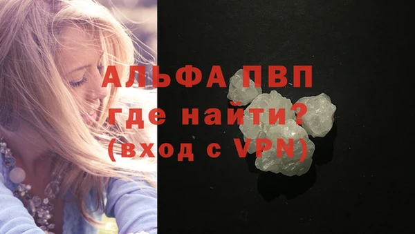 apvp Верея