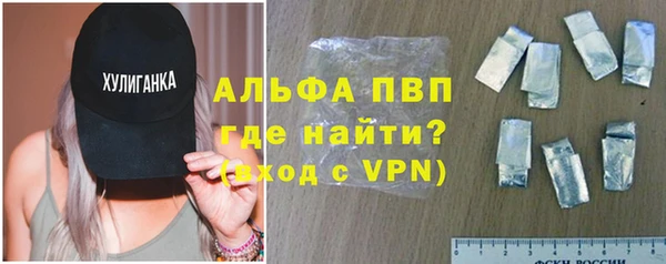 прущие грибы Верхний Тагил