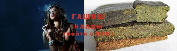 прущие грибы Верхний Тагил
