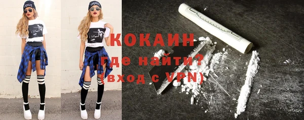 прущие грибы Верхний Тагил