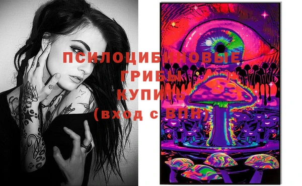 мяу мяу мука Верхнеуральск