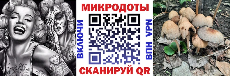 Купить закладки  Райчихинск  Галлюциногенные грибы ЛСД 